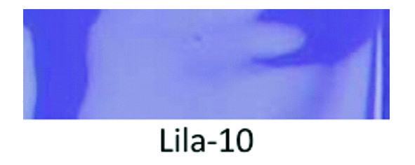 Latexa Latex Strümpfe, medi ~56 cm für Sie & Ihn